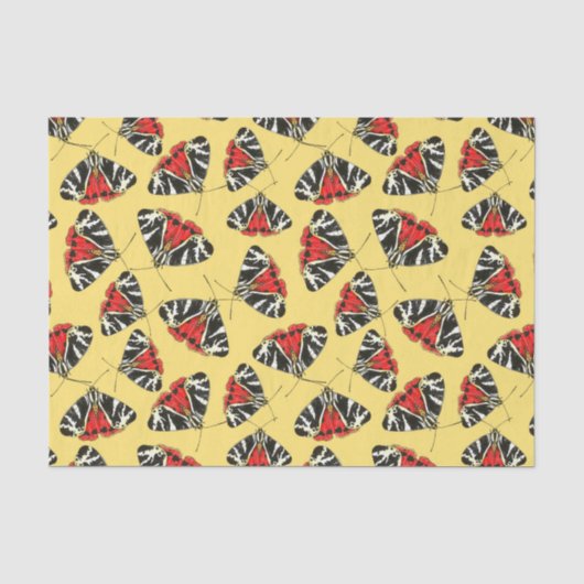 Papier Mousseline Mois 3 (Recto)