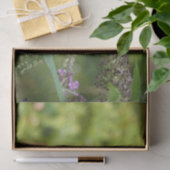 Papier Mousseline Monarque sur Buddleia (Cadeau)
