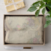 Papier Mousseline Monde 10 (Cadeau)