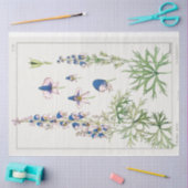 Papier Mousseline Monkshood (Artisanat)