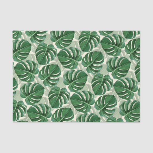 Papier Mousseline Monstère verte Feuille tropicale (Recto)