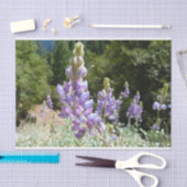 Papier Mousseline Mont Lupins (Artisanat)