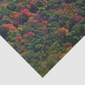 Papier Mousseline Montagnes des Appalaches à l'automne (Détail)