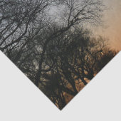 Papier Mousseline Monument de Washington au coucher du soleil (Détail)