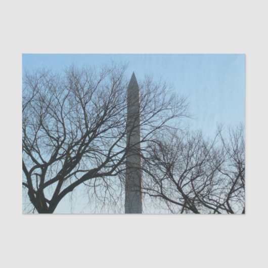 Papier Mousseline Monument de Washington dans le paysage d'hiver I (Recto)
