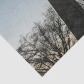 Papier Mousseline Monument de Washington dans le paysage d'hiver II (Détail)