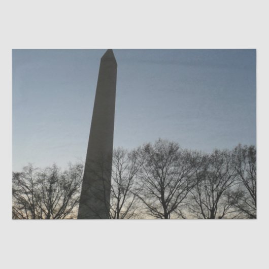 Papier Mousseline Monument de Washington dans le paysage d'hiver II (Recto)