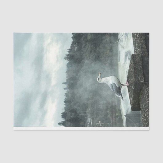 Papier Mousseline Moody Seagull Decoupage Paper (Recto)