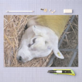 PAPIER MOUSSELINE MOQUETTE (Artisanat)