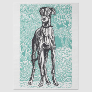 Papier Mousseline Moriz Jung Greyhound Vintage Art Fond Sarcelle