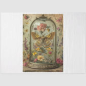 Papier Mousseline Moth (Recto)