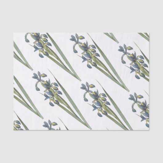 Papier Mousseline Motif à fleurs d'iris papillon (Recto)
