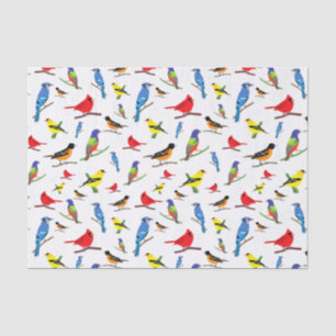 Papier Mousseline Motif coloré d'oiseaux nord-américains