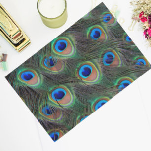 Papier Mousseline Motif coloré Peacock Feather Eyespot