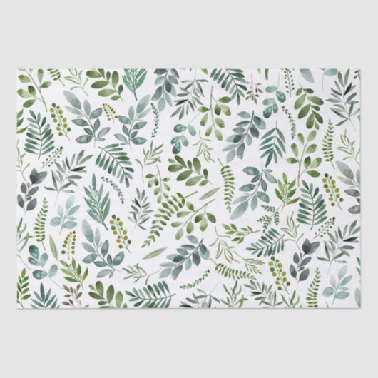 Papier Mousseline Motif d'aquarelle Feuille vert botanique  (Recto)