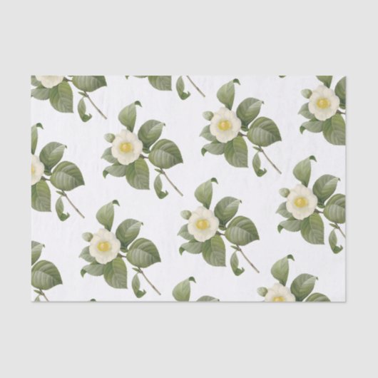 Papier Mousseline Motif de fleurs de Camellia (Recto)