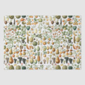 Papier Mousseline Motif de fruits de l'Adolphe Millot (Recto)