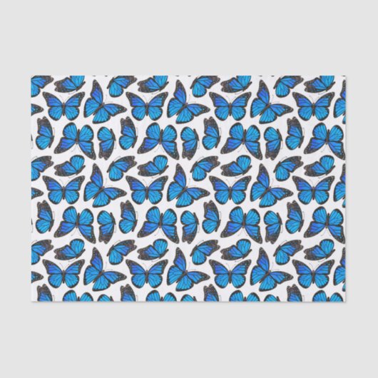 Papier Mousseline Motif de papillon bleu de monarque (Recto)