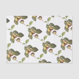 Papier Mousseline Motif de pomme de crabe
