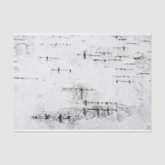 Papier Mousseline Motif d'écorce de bouleau (Recto)