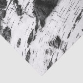 Papier Mousseline Motif d'écorce de bouleau (Détail)