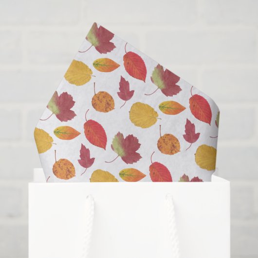 Papier Mousseline Motif Des Feuilles Colorées D'Automne / Foliage D' (Sac cadeau)
