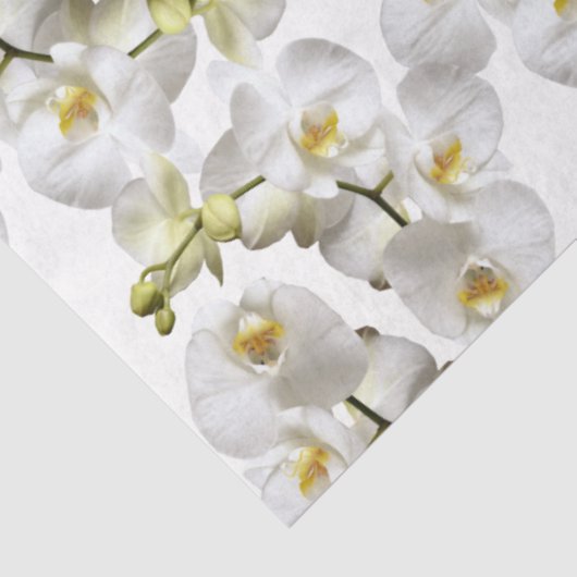 Papier Mousseline Motif d'orchidées blanches (Détail)