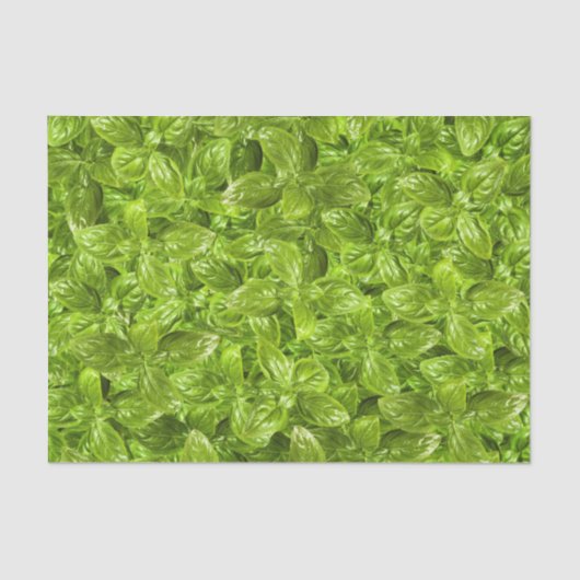Papier Mousseline Motif Feuille Basil (Recto)