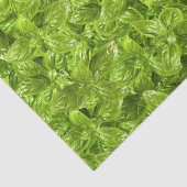 Papier Mousseline Motif Feuille Basil (Détail)