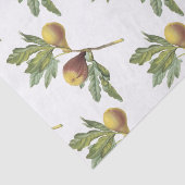 Papier Mousseline Motif Fig (Détail)