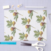 Papier Mousseline Motif Fig (Artisanat)