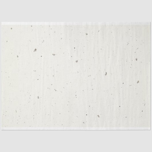 Papier Mousseline Motif Fleck (Recto)