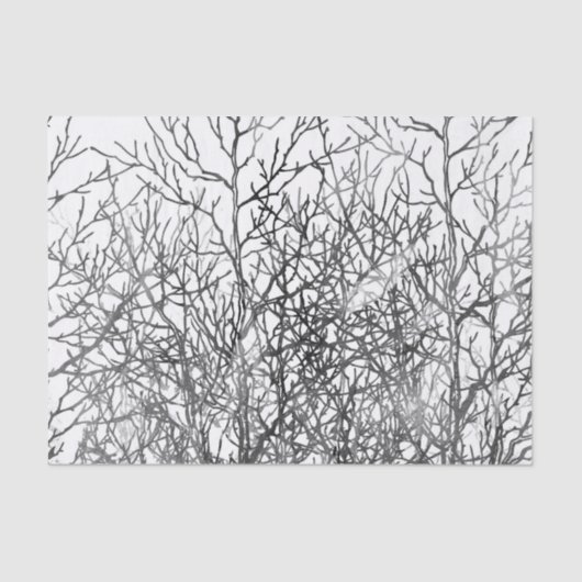 Papier Mousseline Motif noir et blanc de branches d'arbre (Recto)