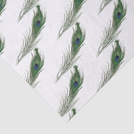 Papier Mousseline Motif Peacock Feather | Thème (Détail)
