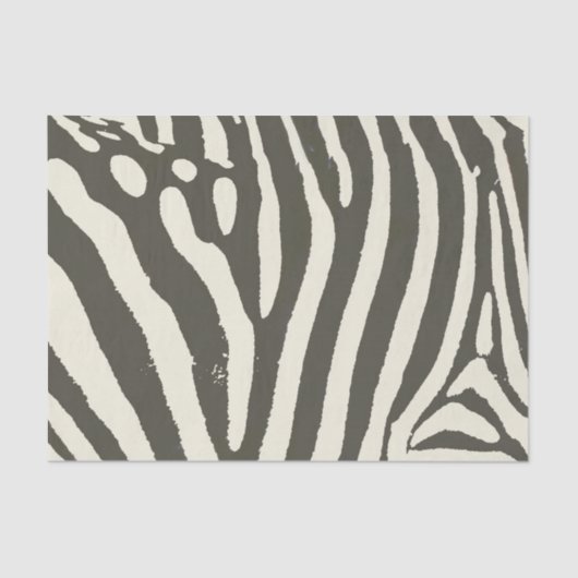 Papier Mousseline Motif Poster de animal Zebra Stripe (Recto)