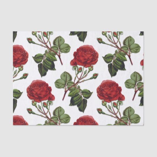 Papier Mousseline Motif Rose Red Long Stem (Recto)