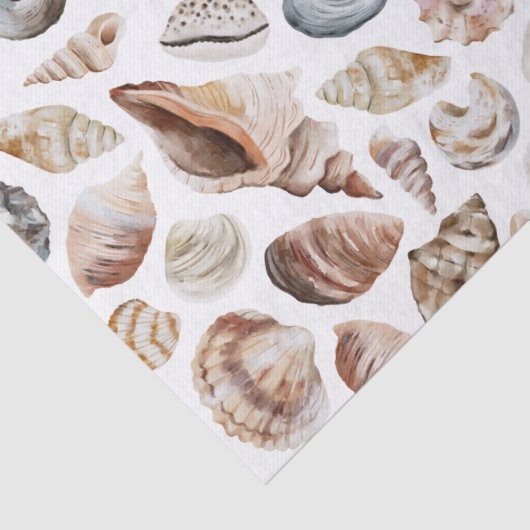 Papier Mousseline Motif Seashell (Détail)