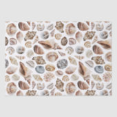 Papier Mousseline Motif Seashell (Recto)