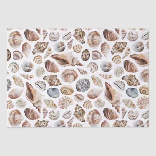 Papier Mousseline Motif Seashell (Recto)