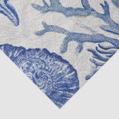 Papier Mousseline Motif Toile Côtière Bleue Coquillage Corail (Détail)