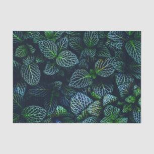 Papier Mousseline Motif tropical d'usine de feuille