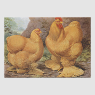 Papier Mousseline Mouchoir de fête champêtre vintage avec coq et pou