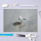 Papier Mousseline Mouette avec l'algue (Artisanat)