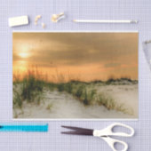 Papier Mousseline Mouettes au lever du soleil (Artisanat)