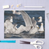 Papier Mousseline Mouettes émergentes (Artisanat)