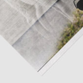 Papier Mousseline Mouton d'agneau de bébé (Détail)