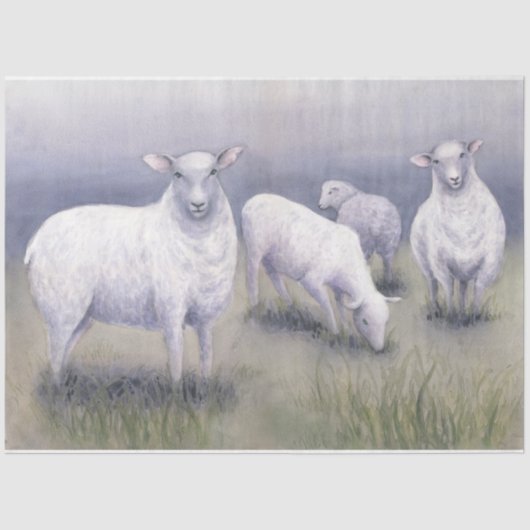 Papier Mousseline Mouton en champ (Recto)