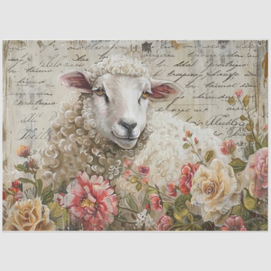 Papier Mousseline Mouton laineux (Recto)