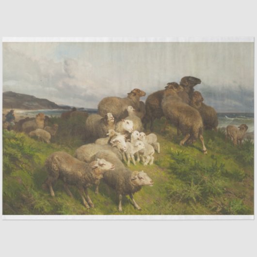 Papier Mousseline Moutons dans un pré (par August Friedrich Schenck) (Recto)