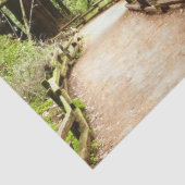 Papier Mousseline Muir Woods Path II Nature Photography (Détail)